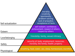 Maslow Hierarchy ofNeeds.svg